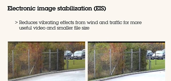 Electronic Image Stabilization